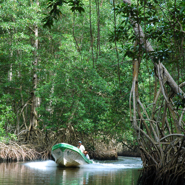 Reserva de la Biosfera La Encrucijada